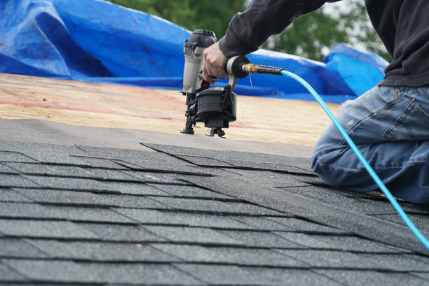 Best Roof Gutter Cleaning  in Mount Sterling, IL