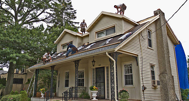 Best Gutter Installation and Roofing  in Mount Sterling, IL